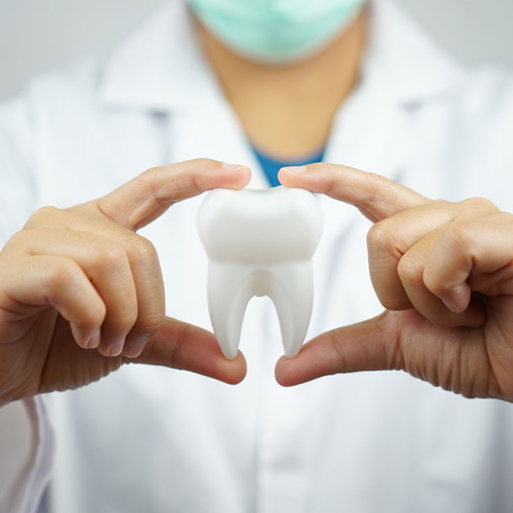 https://shifadentalperumpilavu.com/wp-content/uploads/2022/06/Home-appointment.jpg