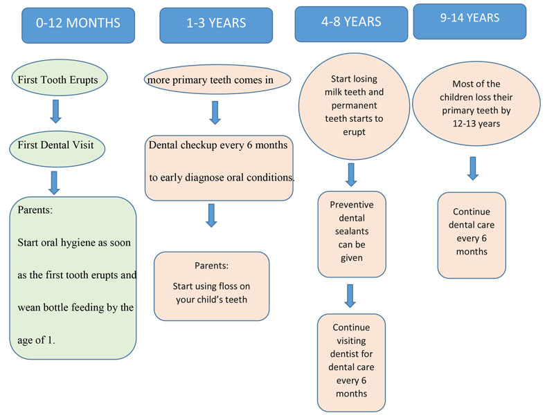 Flow Chart