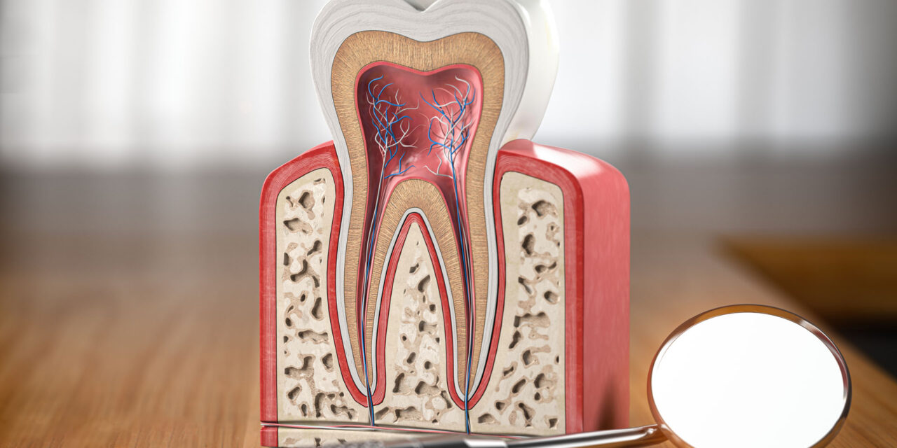 Do I really need a rootcanal treatment ?