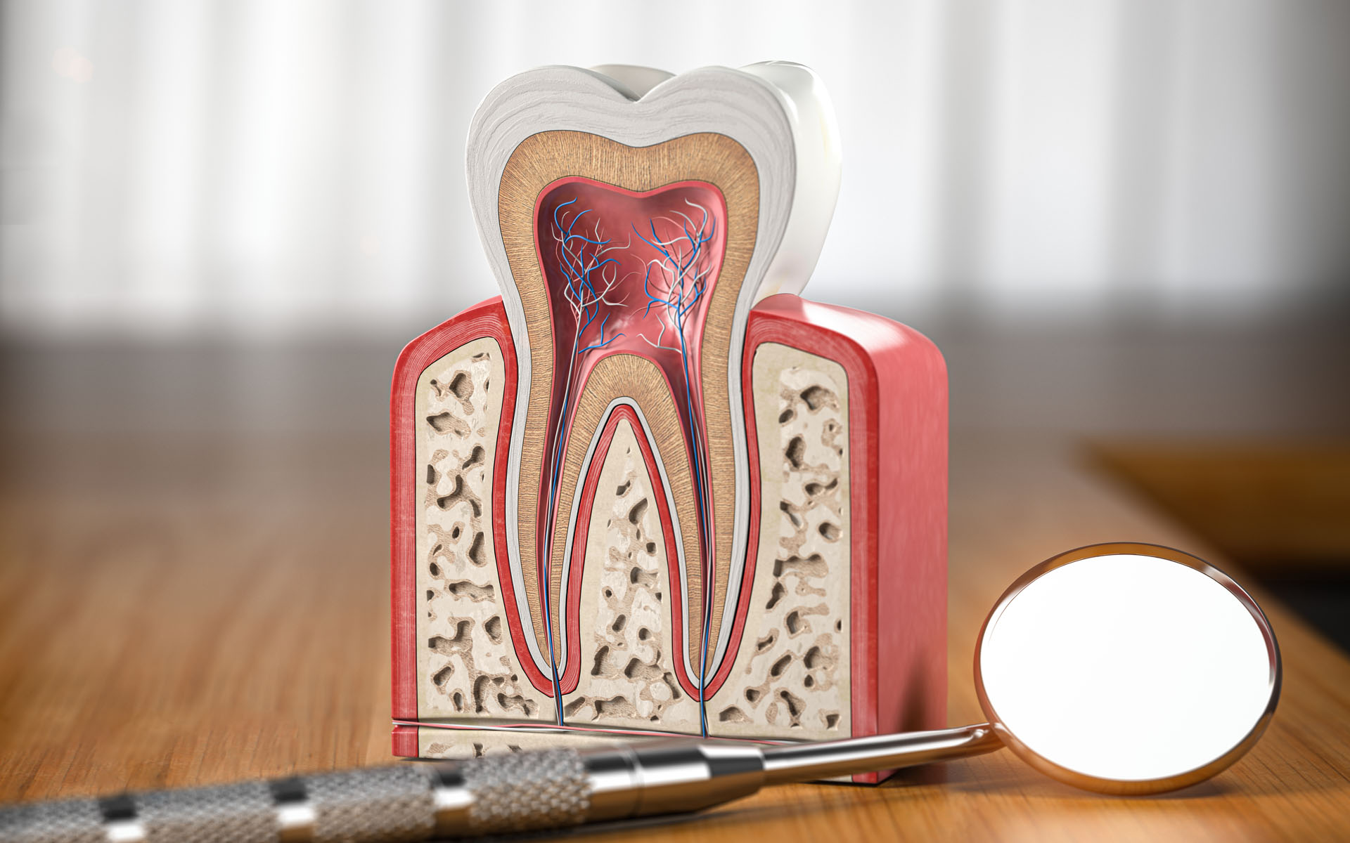 https://shifadentalperumpilavu.com/wp-content/uploads/2022/10/root-canal-treatment.jpg